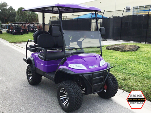 sunny isles golf cart repair, golf cart service, mobile repair