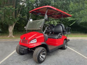 sunny isles golf cart repair, golf cart service, mobile repair