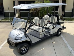 sunny isles golf cart repair, golf cart service